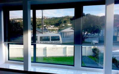 Sunscreen Roller Blinds